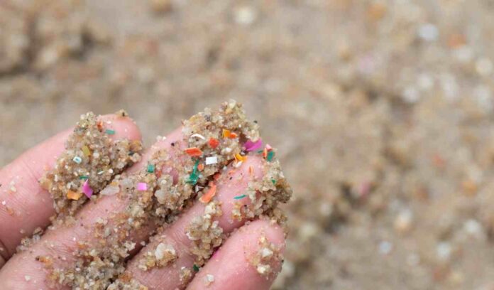 Académica de Geología advierte sobre presencia de microplásticos en suelos y su impacto en los ecosistemas terrestres