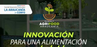 AgriFood Summit Araucanía 2025 – Enfocando la Salud del Suelo para la Salud Humana