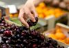 Analizan riesgo indirecto de aranceles estadounidenses en exportación de cerezas