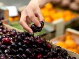 Analizan riesgo indirecto de aranceles estadounidenses en exportación de cerezas