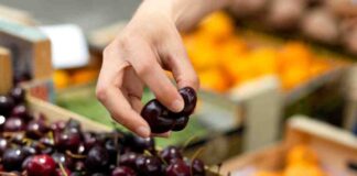 Analizan riesgo indirecto de aranceles estadounidenses en exportación de cerezas