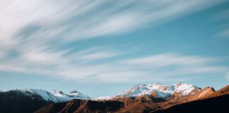 Arcadis reafirma su compromiso con la sostenibilidad y el logro del objetivo Net Zero en el mes del Medio Ambiente
