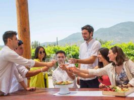 Arma tu propio vino: el panorama que encanta a turistas nacionales y extranjeros en el Valle de Colchagua