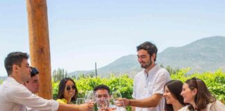 Arma tu propio vino: el panorama que encanta a turistas nacionales y extranjeros en el Valle de Colchagua