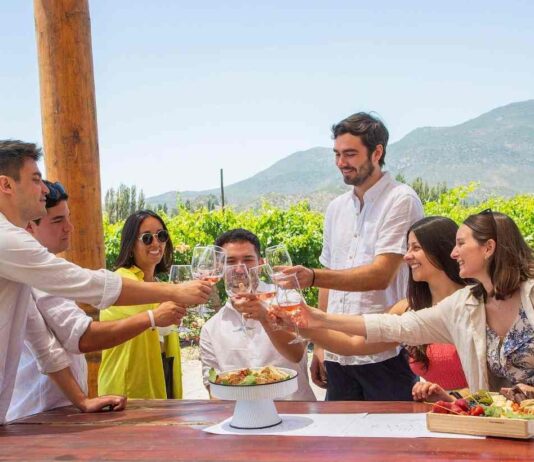 Arma tu propio vino: el panorama que encanta a turistas nacionales y extranjeros en el Valle de Colchagua