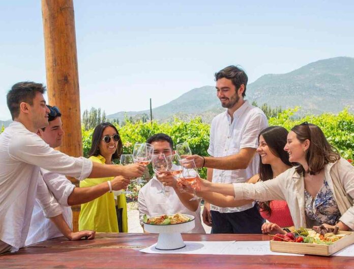 Arma tu propio vino: el panorama que encanta a turistas nacionales y extranjeros en el Valle de Colchagua