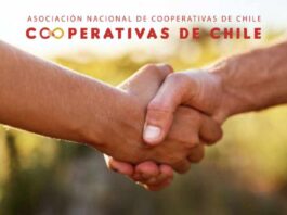 Asociación Nacional de Cooperativas de Chile celebró junta general de socios y renovó su mesa directiva