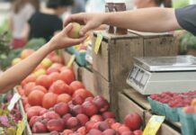 Buena noticia para los feriantes: nueva ley les permitirá formalizarse con menos impuestos y sin trámites engorrosos