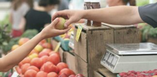 Buena noticia para los feriantes: nueva ley les permitirá formalizarse con menos impuestos y sin trámites engorrosos