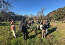CONAF donó plantas a Universidad Austral para proyecto de bosque comestible