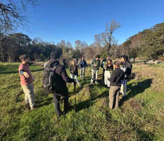 CONAF donó plantas a Universidad Austral para proyecto de bosque comestible