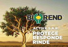 Alianza Técnica-Comercial entre COPEVAL Y BIOAGRO