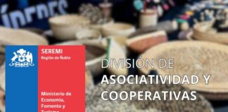 Cooperativismo: El motor sostenible que impulsa la economía de Ñuble y combate la desigualdad