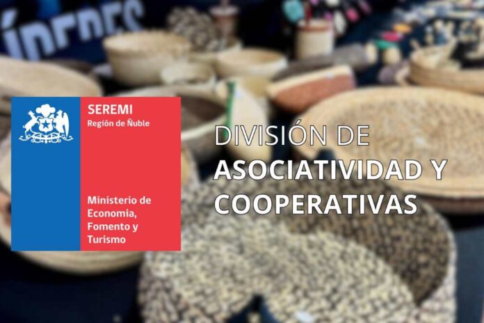 Cooperativismo: El motor sostenible que impulsa la economía de Ñuble y combate la desigualdad