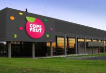 Copefrut celebra 70 años con foco en sostenibilidad