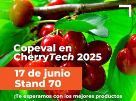 Copeval en CherryTech 2025