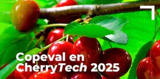 Copeval en CherryTech 2025