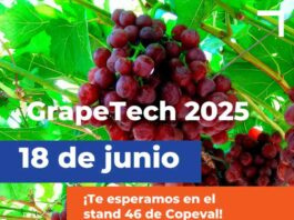 Copeval en GrapeTech 2025