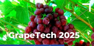 Copeval en GrapeTech 2025