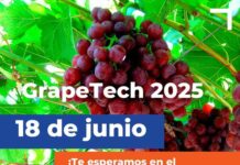 Copeval participará en eventos CherryTech y GrapeTech