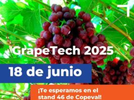 Copeval participará en eventos CherryTech y GrapeTech