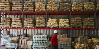 Desperdicio de alimentos es responsable del 10% de las emisiones de gases de efecto invernadero
