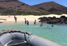 Directora de Fundación Emma Darwin (FED) de Galápagos propone implementar proyectos comunitarios en la costa de Chile