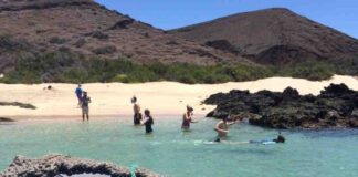 Directora de Fundación Emma Darwin (FED) de Galápagos propone implementar proyectos comunitarios en la costa de Chile
