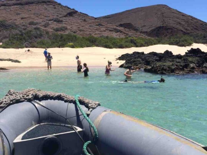 Directora de Fundación Emma Darwin (FED) de Galápagos propone implementar proyectos comunitarios en la costa de Chile