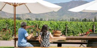 El boom del fenómeno del enoturismo en Chile ya tiene cifras récord