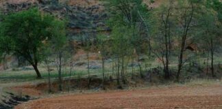 El impacto de las lluvias en tractores y maquinaria que ponen problemas a la preparación del suelo