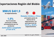 Exportaciones de la Región del Biobío aumentaron 1,0% interanualmente