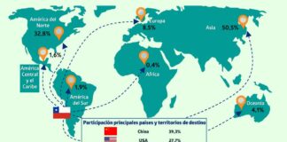Exportaciones regionales de Ñuble alcanzaron los USD 503 millones durante el primer trimestre del 2025