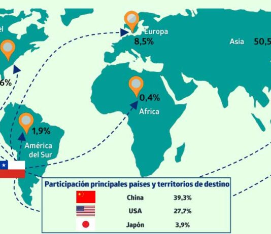 Exportaciones regionales de Ñuble alcanzaron los USD 503 millones durante el primer trimestre del 2025
