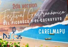 Retorna a Carelmapu el Festival del Picoroco y Cochayuyo
