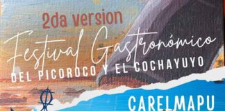 Retorna a Carelmapu el Festival del Picoroco y Cochayuyo