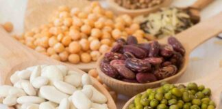 GISER impulsa campaña para aumentar el consumo de legumbres