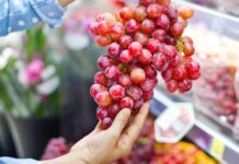Grapetech 2025:  Un espacio estratégico para proyectar el futuro de la industria de la uva