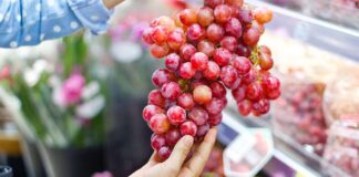 Grapetech 2025:  Un espacio estratégico para proyectar el futuro de la industria de la uva