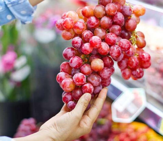 Grapetech 2025:  Un espacio estratégico para proyectar el futuro de la industria de la uva