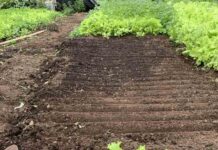 HiperPatagónico y Corfo impulsanprograma para fortalecer a productores locales y mejorar la cadena alimentariaen Aysén