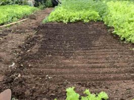 HiperPatagónico y Corfo impulsanprograma para fortalecer a productores locales y mejorar la cadena alimentariaen Aysén