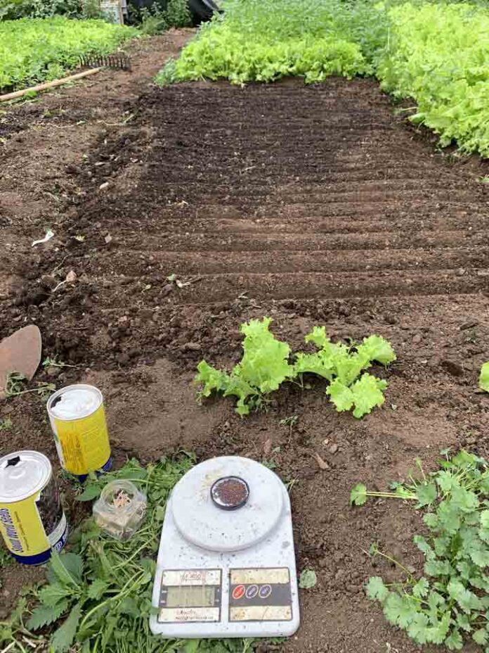 HiperPatagónico y Corfo impulsanprograma para fortalecer a productores locales y mejorar la cadena alimentariaen Aysén