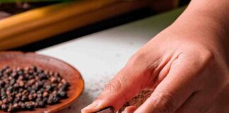 Hoja Verde: El chocolate de la mitad del mundo y premios internacionales se expande a Sudamérica con su llegada a Chile 