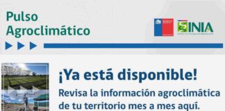 INIA lanza “Pulso Agroclimático”: nuevo boletín de monitoreo de la realidad agrícola y climática nacional