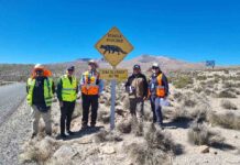 Instalan señalética para proteger a la fauna nativa de Arica y Parinacota