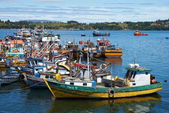 Ley de Fraccionamiento Pesquero: Un hito para la pesca artesanal de Chile