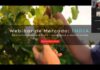Más de 100 de productores participan en webinar que explora oportunidades para la fruta chilena en India