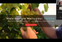 Más de 100 de productores participan en webinar que explora oportunidades para la fruta chilena en India