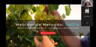 Más de 100 de productores participan en webinar que explora oportunidades para la fruta chilena en India